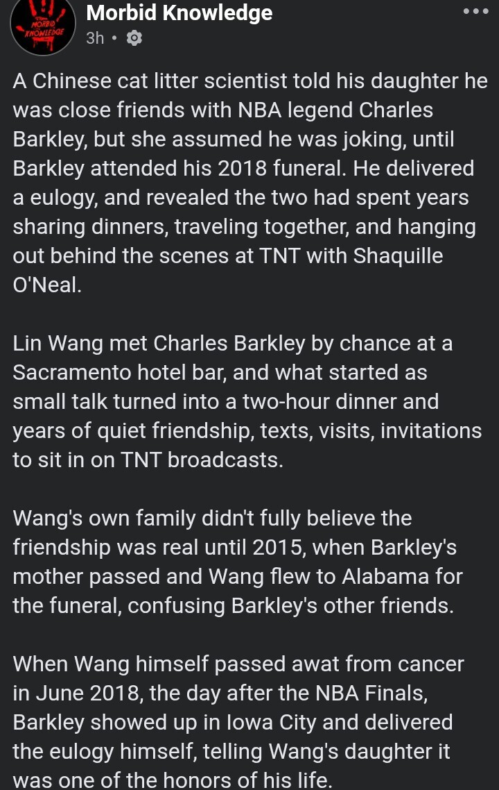 Lin Wang.jpg